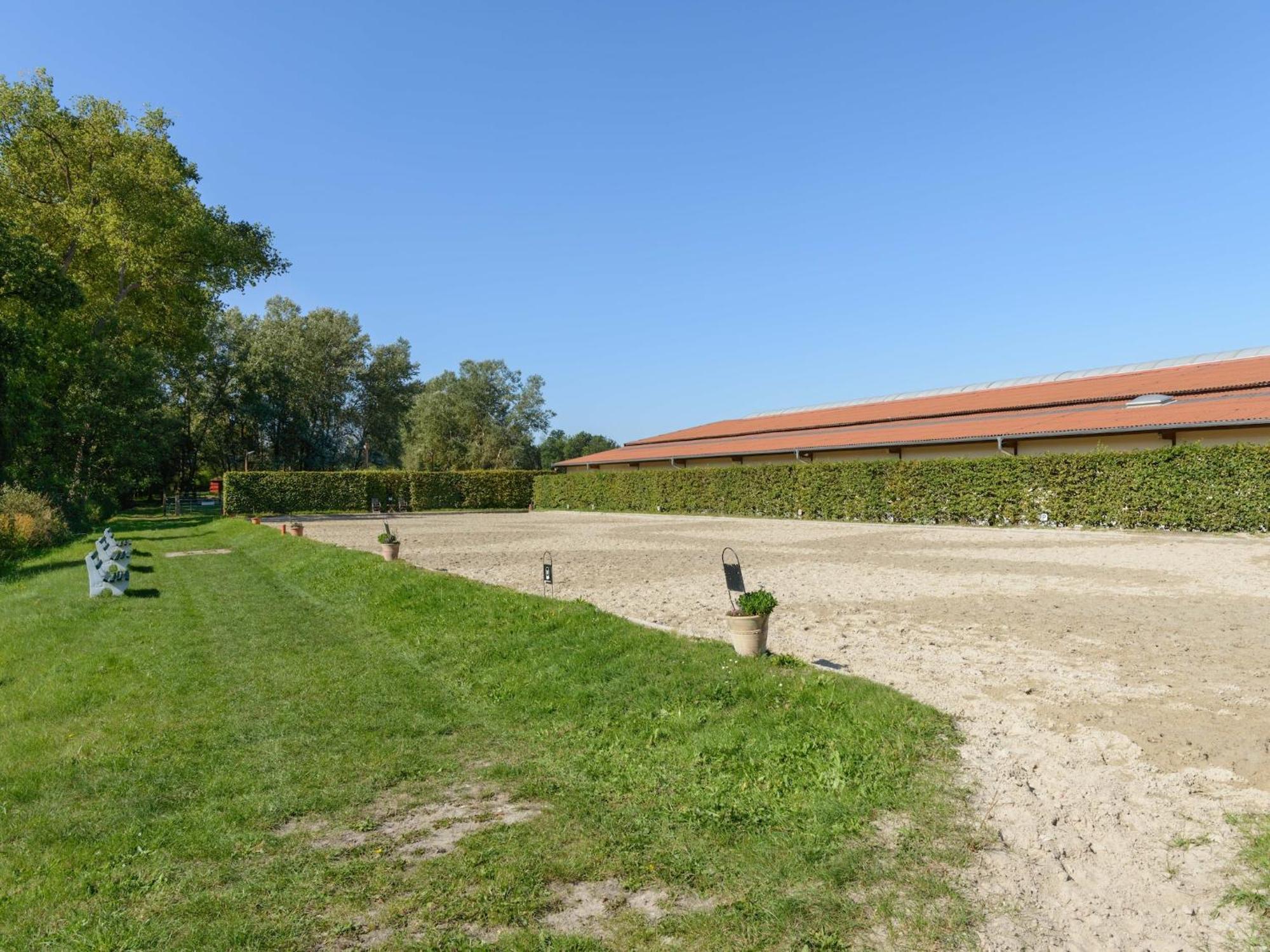 Cozy Holiday Home On A Horse Farm In The L Neburg Heath Eschede ภายนอก รูปภาพ